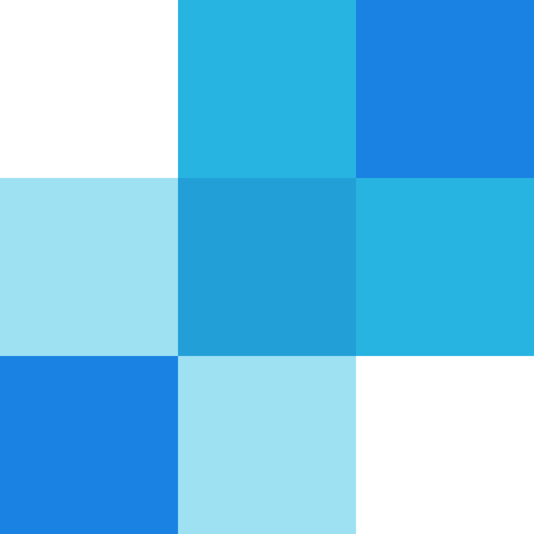PayPal Icon